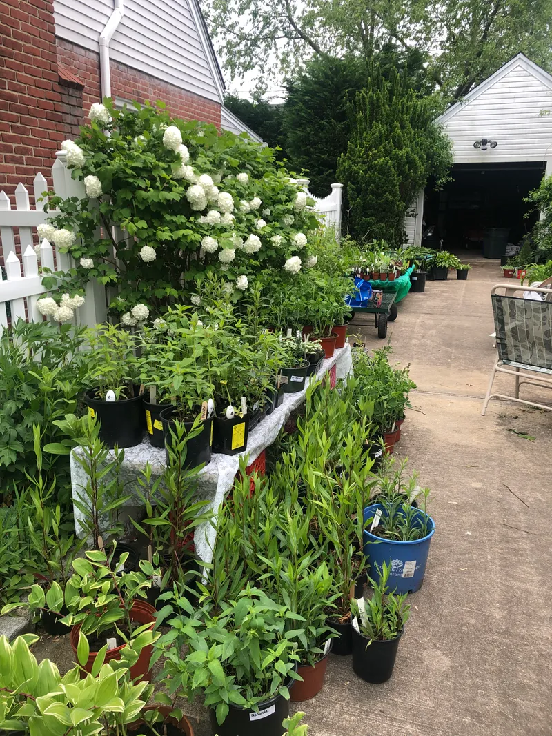 Merrick Garden Club annual plant sale featuring member-grown native perennials and ornamental plants in Merrick, NY