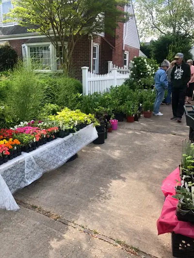 Tables of native perennials and ornamental plants arranged for sale at Merrick Garden Club annual event