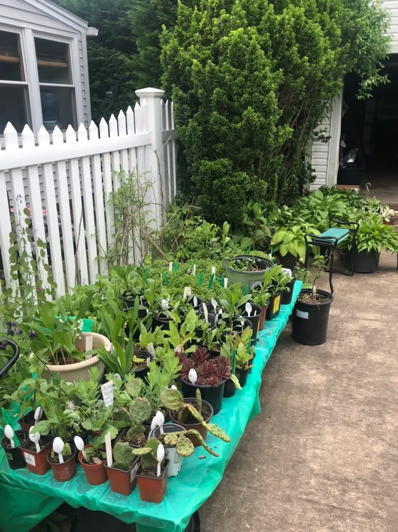 Merrick Garden Club volunteers helping customers select native perennials at the annual spring plant sale in Merrick, NY